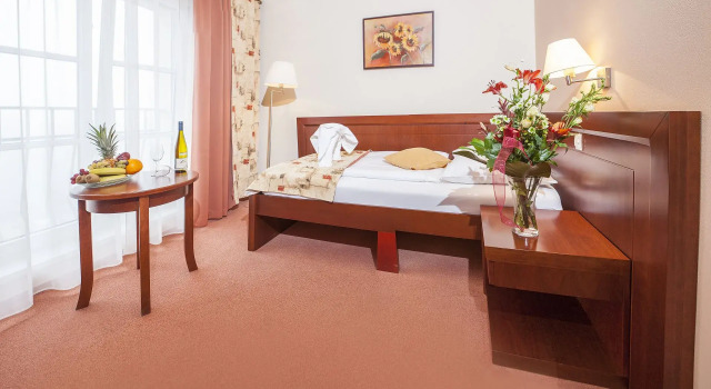 Номер Standard Francis Palace