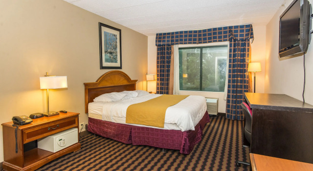 Двухместный номер Standard Garden Inn