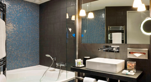 Полулюкс Privilege Mercure Dijon Centre Clemenceau