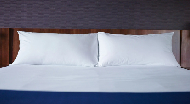 Номер Standard Holiday Inn Express Singen by IHG