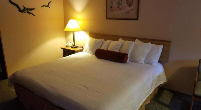 Номер Deluxe Forest Springs Resort