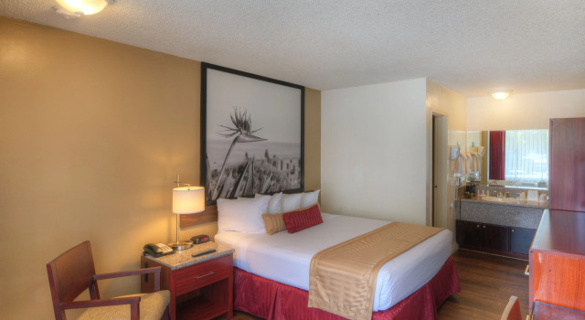 Двухместный номер Kings Inn Anaheim at The Park & Convention Center