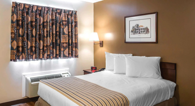 Двухместный номер Standard Suburban Extended Stay Of Hermitage