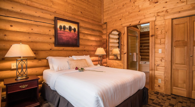 Шале Deluxe c 1 комнатой Castle Mountain Chalets