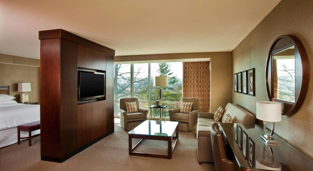 Двухместный номер Standard с видом на город Sheraton Valley Forge King of Prussia