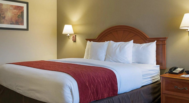Standard Doppel Zimmer Quality Inn