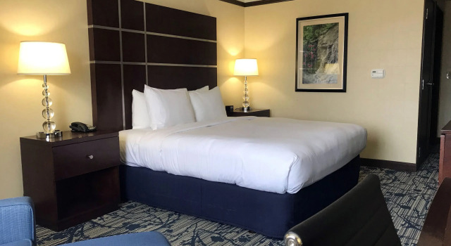 Двухместный номер Standard Hilton Asheville Biltmore Park