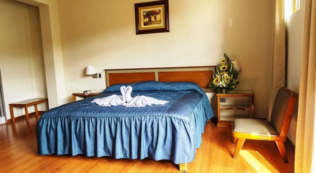 Habitación doble Estándar Hotel Continental