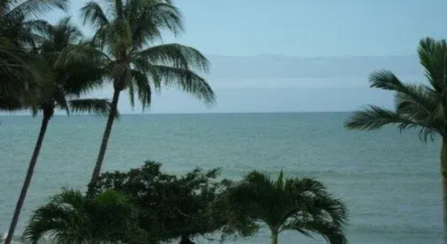 Номер Standard с видом на море Turtle Cove Beach Resort