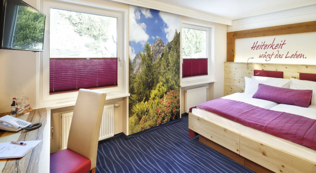 Двухместный номер Standard Hotel Alpina
