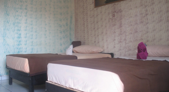 Двухместный номер Economy Lovina Central Hostel
