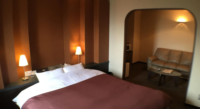 Deluxe Dvoulůžkový s manželskou postelí pokoj Hotel PORTE