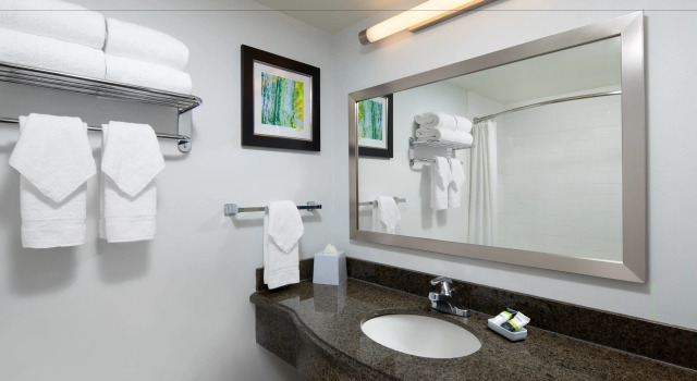 Четырёхместный номер Standard Four Points by Sheraton - San Francisco Airport