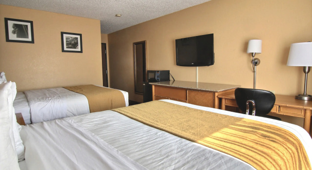 Standard- firedobbelt værelse Quality Inn Hall of Fame