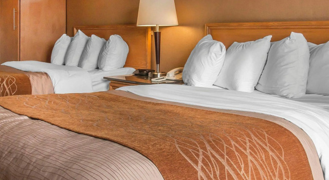 Четырёхместный номер Standard Comfort Inn Dryden