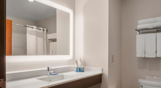 Двухместный люкс Holiday Inn Express Hotel & Suites Newton Sparta by IHG