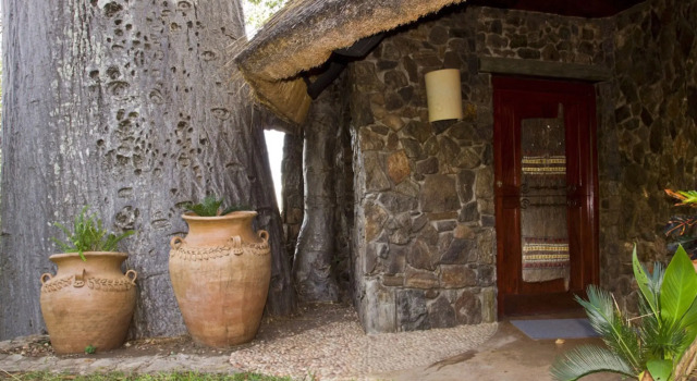 Hytte Sango Wildlife Lodge