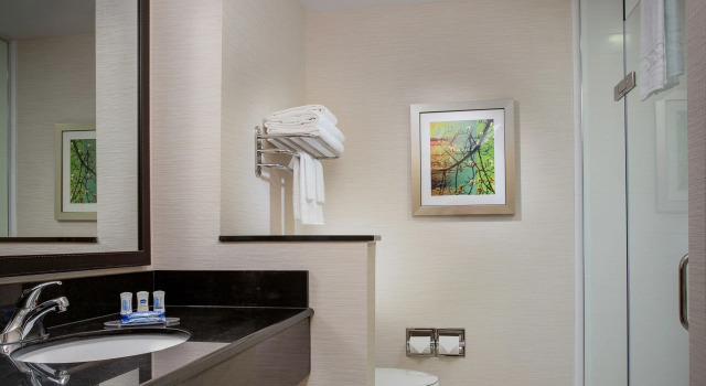 Четырёхместный номер Standard Fairfield Inn & Suites by Marriott Flint Grand Blanc
