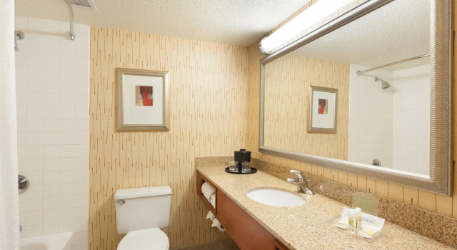 Номер Standard Holiday Inn Cincinnati Airport by IHG