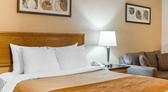 Двухместный номер Standard Цокольный этаж Comfort Inn Cambridge - Highway 401