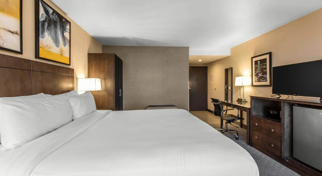 Двухместный номер Standard voco Laguna Hills by IHG
