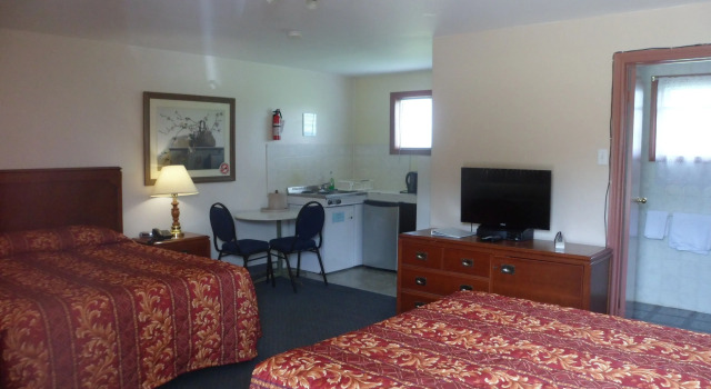Четырёхместный номер Standard The Silver Birch Motel