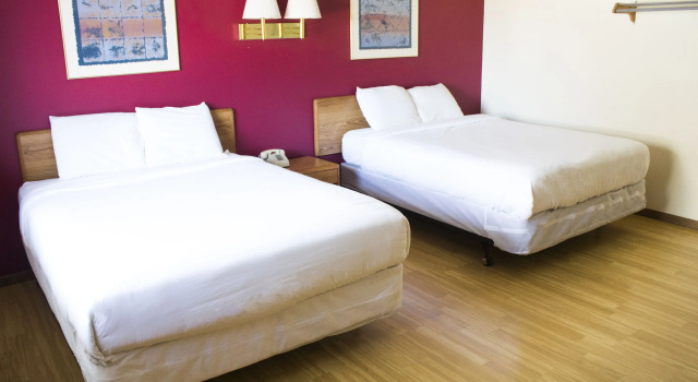 Люкс Deluxe Flamingo Motel & Suites