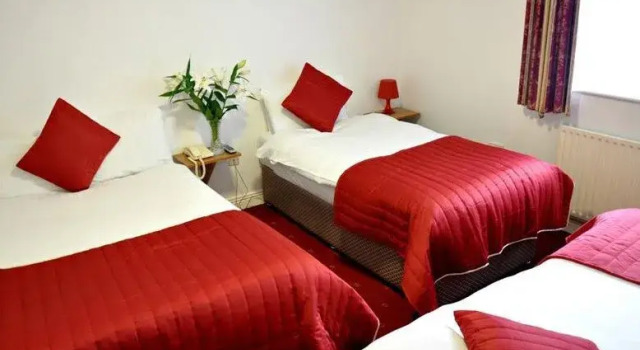 Трёхместный номер Standard Maple Hotel