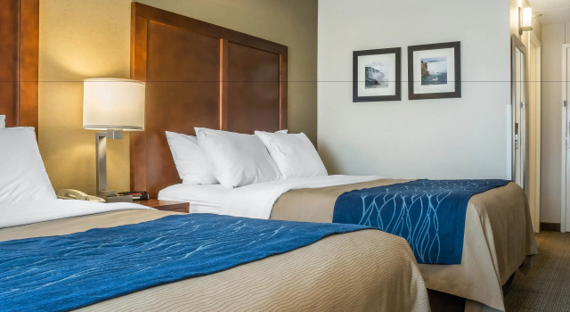 Четырёхместный номер Standard Comfort Inn The Pointe