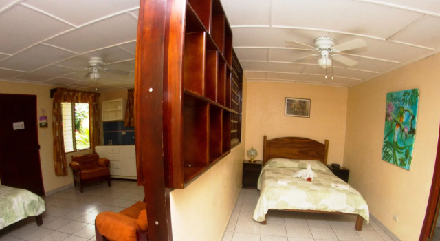Люкс Hotel La Rosa de America