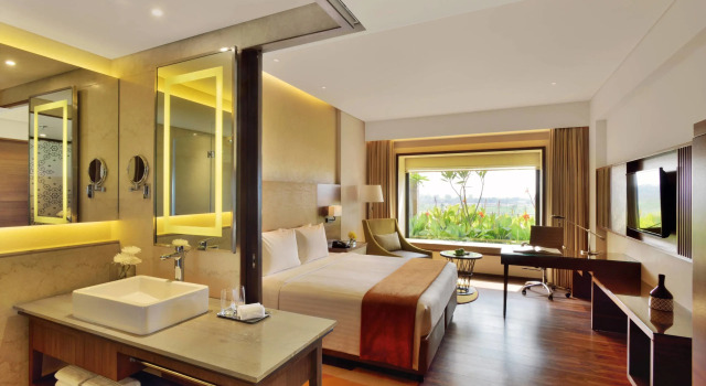 Номер Deluxe Courtyard by Marriott Raipur