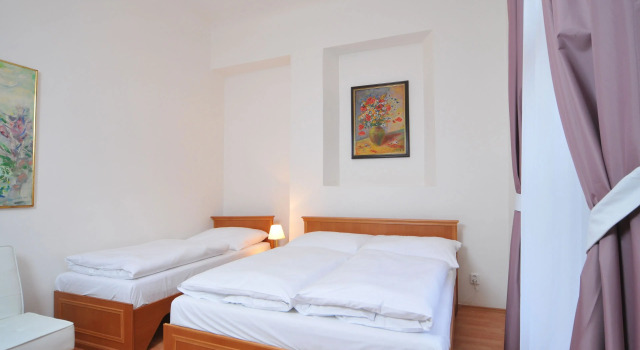 Апартаменты Apartment house Anenská