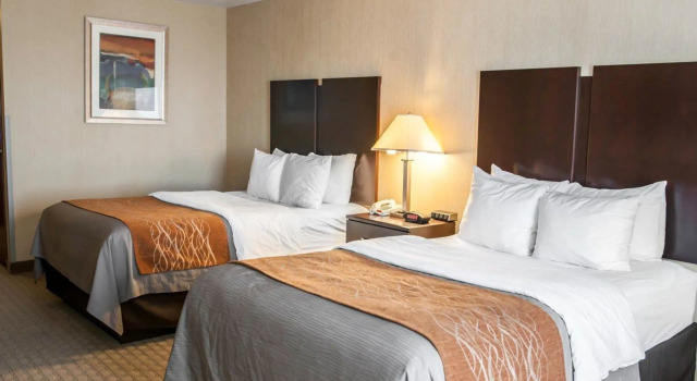 Четырёхместный номер Standard Comfort Inn & Suites Muncie Near University