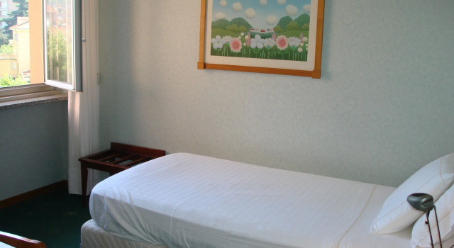Одноместный номер Standard Hotel Ariston