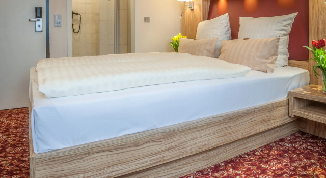 Двухместный номер Standard City Hotel