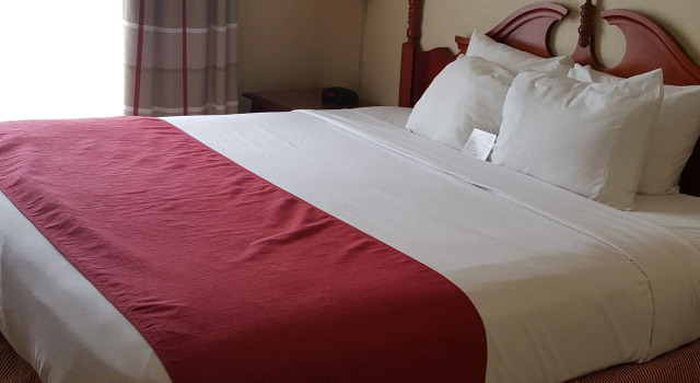 Двухместный номер Standard Spark by Hilton Orlando Universal Boulevard