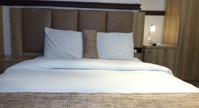 Номер Deluxe Euro Lounge and Suites