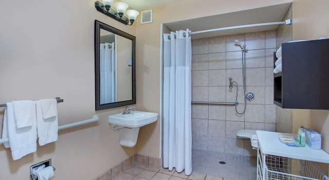 Двухместный номер Standard Staybridge Suites Chattanooga Downtown - Convention Center by IHG