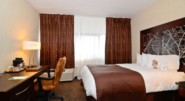 Номер Executive Adams Mark Buffalo Niagara