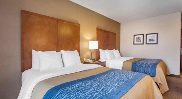 Четырёхместный номер Standard Comfort Inn