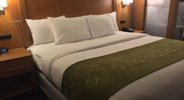 Двухместный люкс Comfort Suites North Charleston - Ashley Phosphate