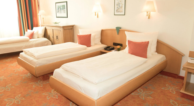 Трёхместный номер Standard Hotel Stadt München