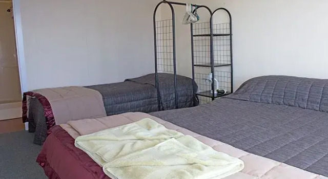 Люкс Standard Wildcat Motel