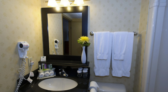 Номер Standard Sandman Hotel & Suites London Downtown