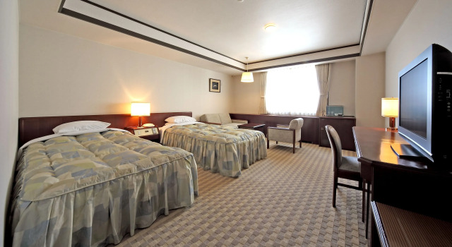 Двухместный номер Standard с видом на город Gifu Grand Hotel