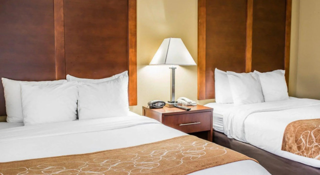 Четырёхместный номер Standard Comfort Suites Hagerstown Southeast