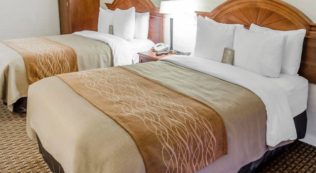 Четырёхместный номер Standard Spark By Hilton Toronto Markham