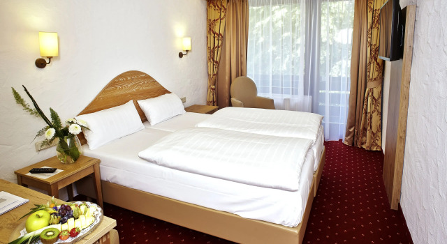 Одноместный номер Standard Mühl Vital Resort
