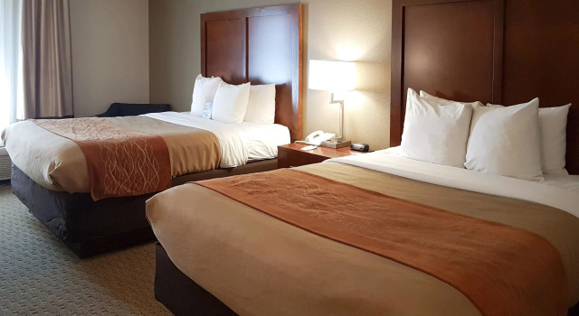 Четырёхместный номер Standard Comfort Inn I-10 West at 51st Ave