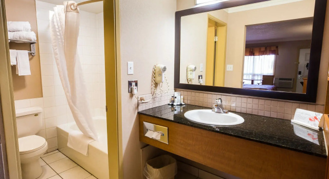 Трёхместный номер Standard Canalta Hotel Stettler
